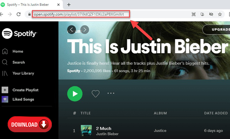 How to Download Spotify Songs (Music) & Playlist as MP3